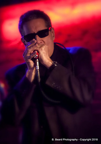 Mark Wainberg  Blues Harmonica